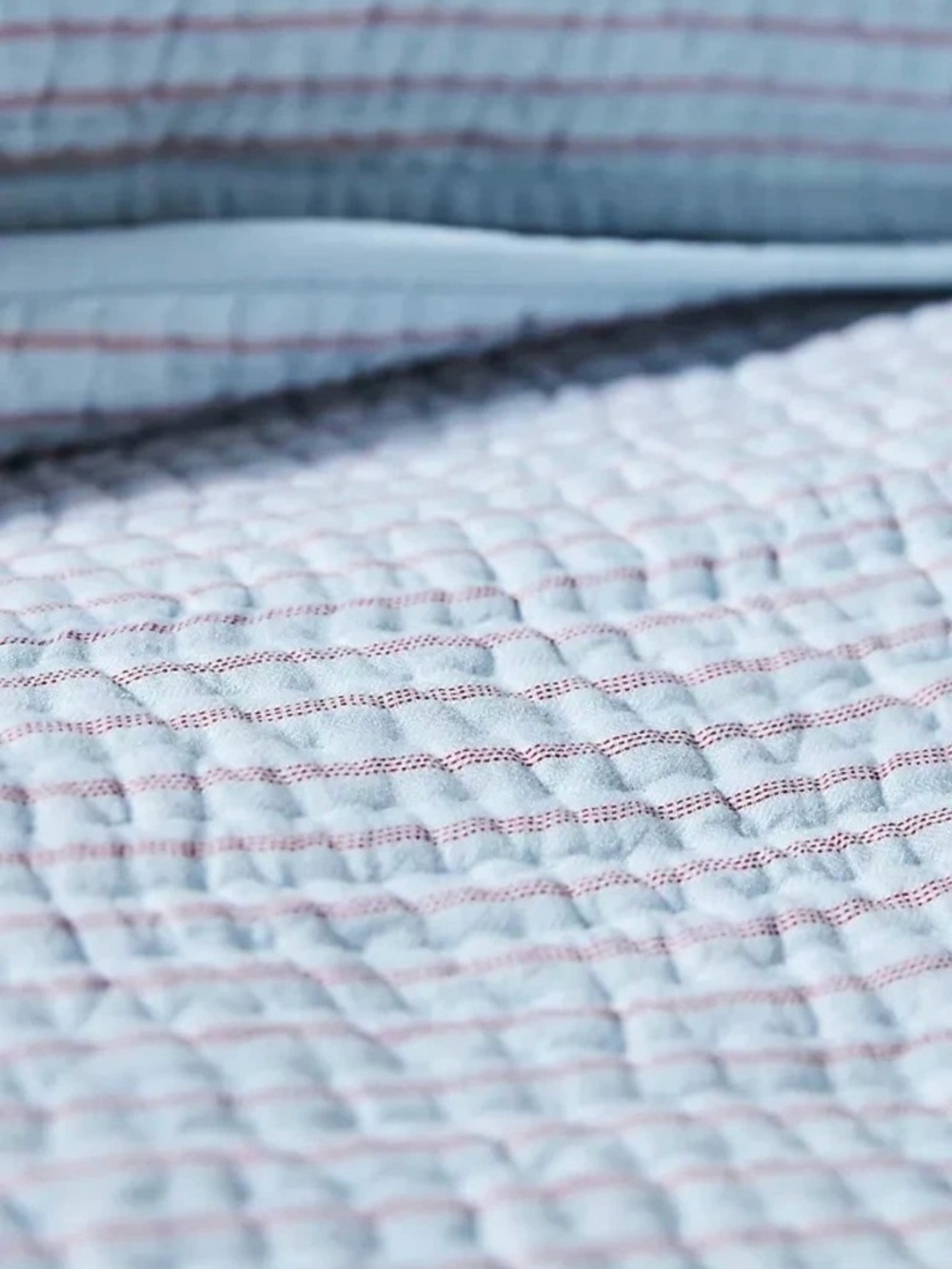 Anthropologie Light Blue and Red Thread Quilted Cotton Coverlet Twin